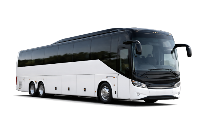 Executive coach